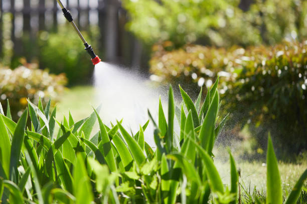 24/7 Emergency Mosquito Control experts in Morada, CA