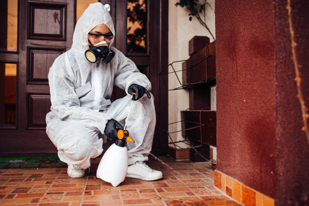 Reliable Mosquito Control contractor in Morada, CA by Show Me Pest Control